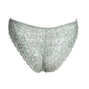 Panty