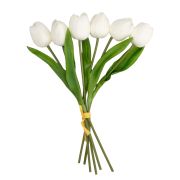 Bonche de tulipanes blancos