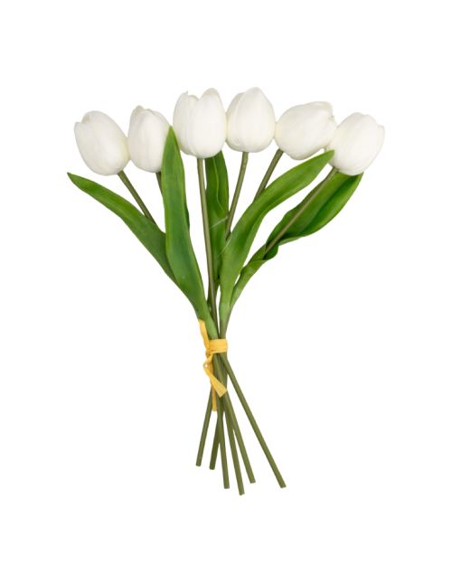 Bonche de tulipanes blancos