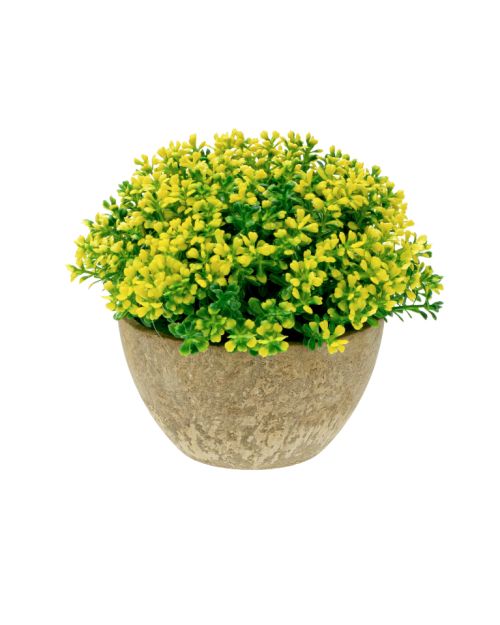 Maceta con flores amarillas