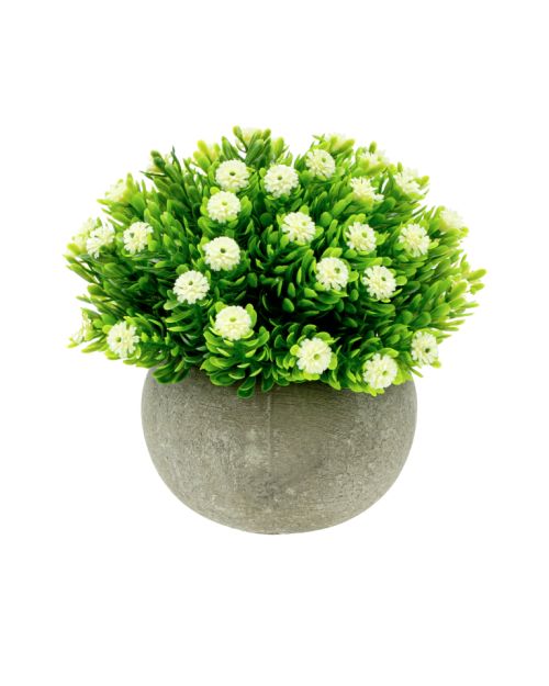 Maceta con flores blancas