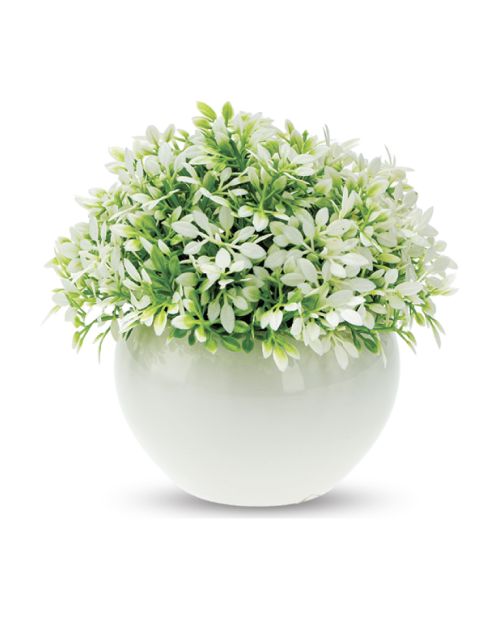 Maceta con flores blancas