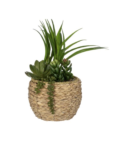 Planta decorativa con base tejida