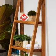 Planta decorativa con base redonda
