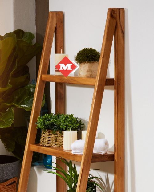 Planta decorativa con base redonda
