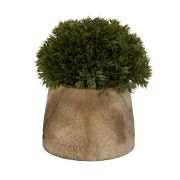 Planta decorativa con base redonda