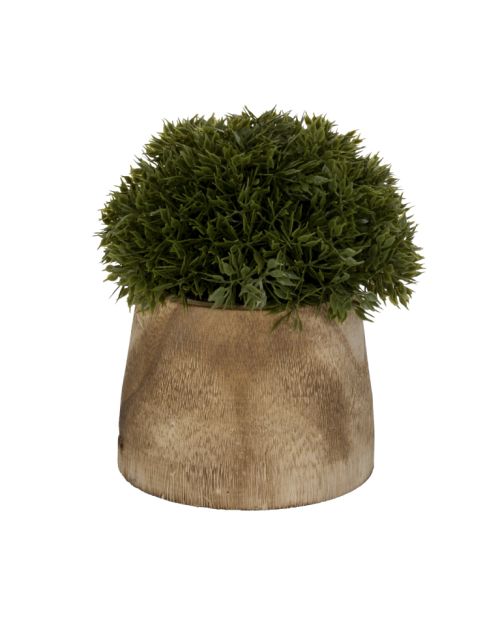Planta decorativa con base redonda
