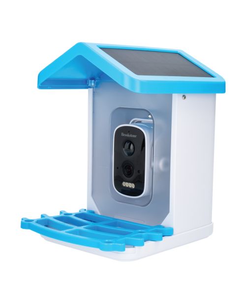 Dispensador de comida para pájaros con cámara